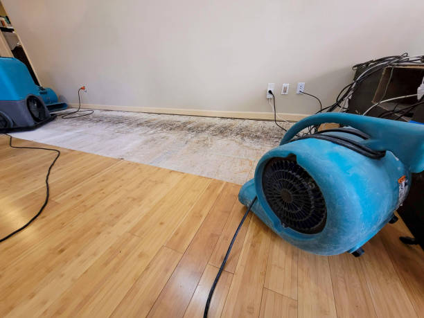 Professional Water Damage Repair technician working in Peyton, CO
